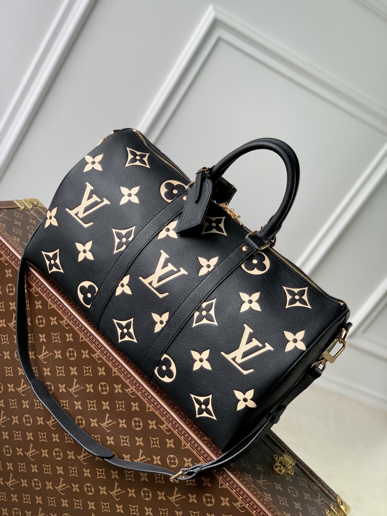 LV Travel Bags